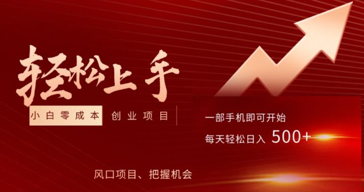 小白0成本上手项目，把握风口，轻松日入500+-观智斋电商课程站