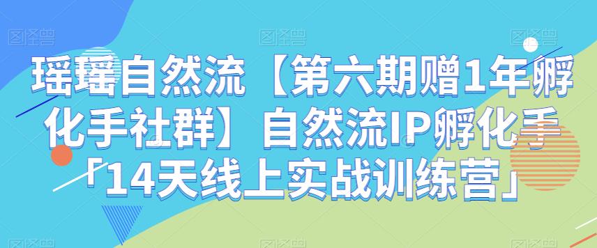 瑶瑶自然流【第六期赠1年孵化手社群】自然流IP孵化手「14天线上实战训练营」-观智斋电商课程站