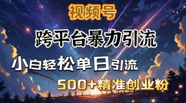 跨平台暴力引流，私域完美闭环，日引500+精准创业粉-观智斋电商课程站