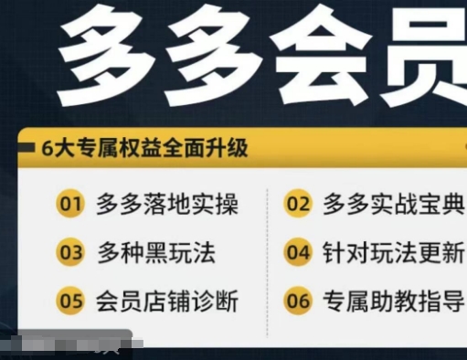 拼多多会员，拼多多实战宝典+实战落地实操，从新手到高阶内容全面覆盖-观智斋电商课程站