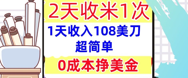 0成本挣美金，超简单，1天收入108刀，2天收米一次，实战教程，首次公开-观智斋电商课程站