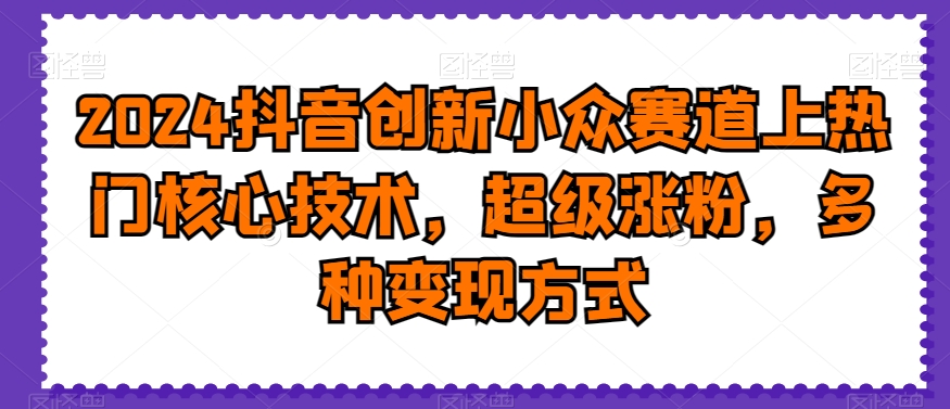 2024抖音创新小众赛道上热门核心技术，超级涨粉，多种变现方式【揭秘】-观智斋电商课程站