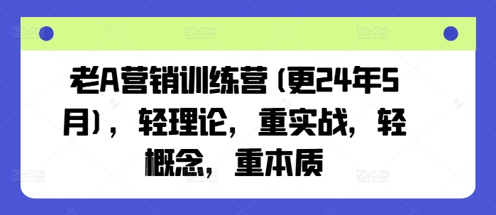 老A营销训练营(更25年1月)，轻理论，重实战，轻概念，重本质-观智斋电商课程站