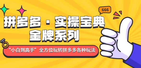 拼多多·实操宝典：金牌系列“小白到高手”带你全方位玩转拼多多各种玩法-观智斋电商课程站