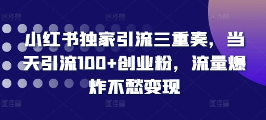 小红书独家引流三重奏，当天引流100+创业粉，流量爆炸不愁变现【揭秘】-观智斋电商课程站