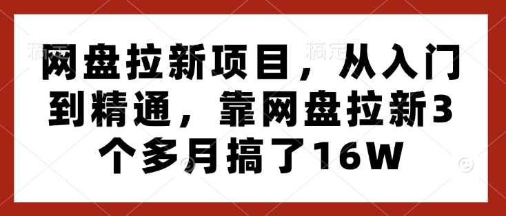 网盘拉新项目，从入门到精通，靠网盘拉新3个多月搞了16W-观智斋电商课程站