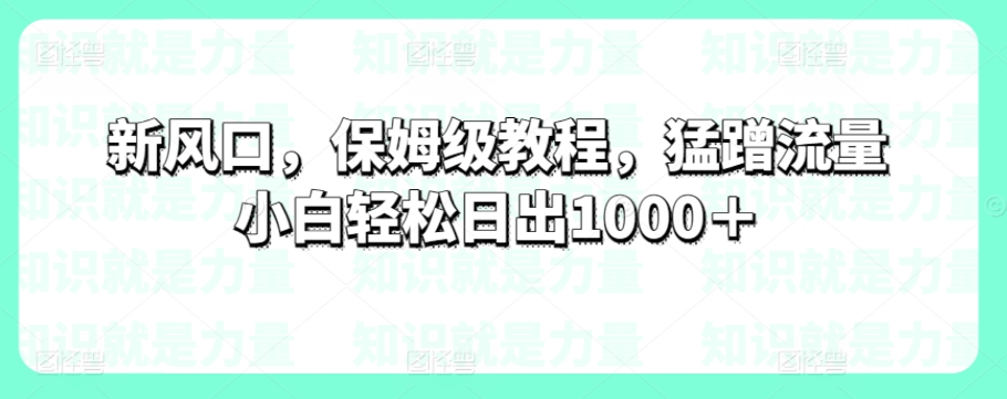 新风口，保姆级教程，猛蹭流量小白轻松日出1000＋-观智斋电商课程站