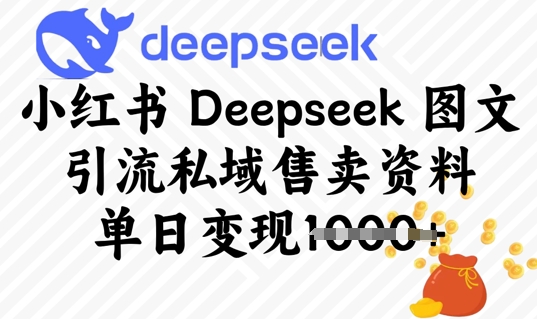小红书Deepseek 图文引流私域售卖资料，单日变现多张-观智斋电商课程站