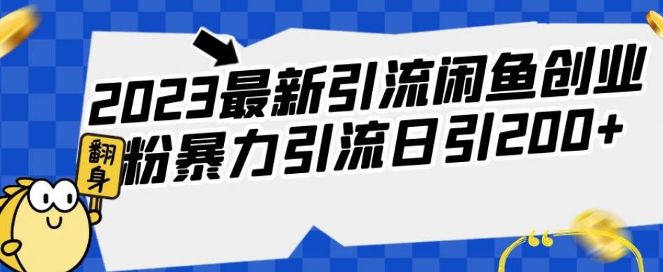 2023最新引流闲鱼创业粉暴力引流日引200+【揭秘】-观智斋电商课程站