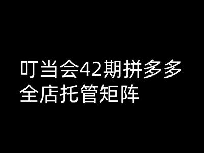 叮当会拼多多打爆班原创高阶技术第42期，拼多多全店托管矩阵-观智斋电商课程站