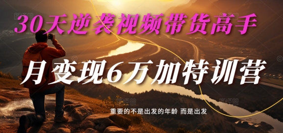 30天逆袭视频带货高手，单月变现6万加特训营-麦子甜-观智斋电商课程站