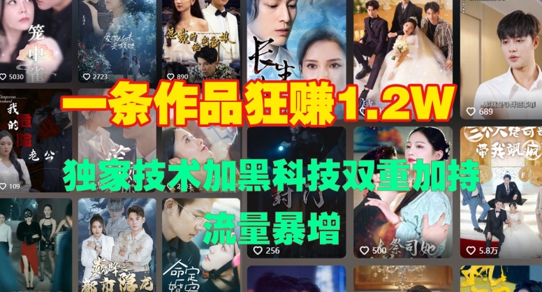 一条作品收益1.2w，独家技术加黑科技双重加持，流量暴增-观智斋电商课程站