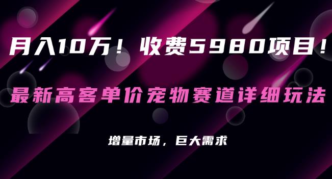 收费5980项目，最新高客单价宠物赛道详细玩法，增量市场，巨大需求-观智斋电商课程站