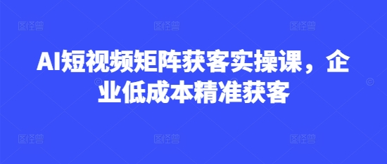 AI短视频矩阵获客实操课，企业低成本精准获客-观智斋电商课程站