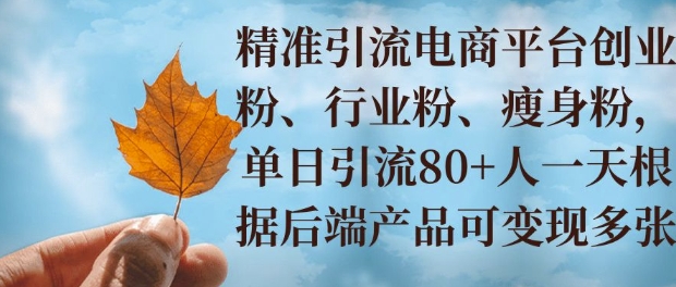 小投资撬动大收益，精准引流创业粉、行业粉，单日引流80+，一天可变现多张-观智斋电商课程站